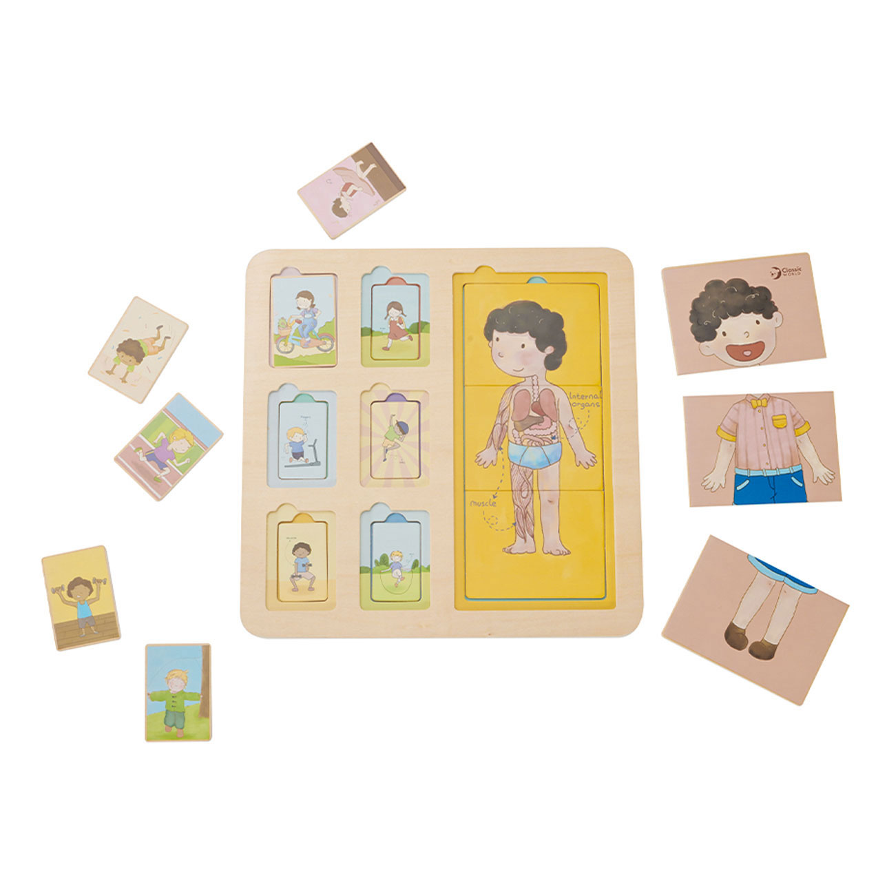 Houten Lagenpuzzel Lichaam, 19dlg.
