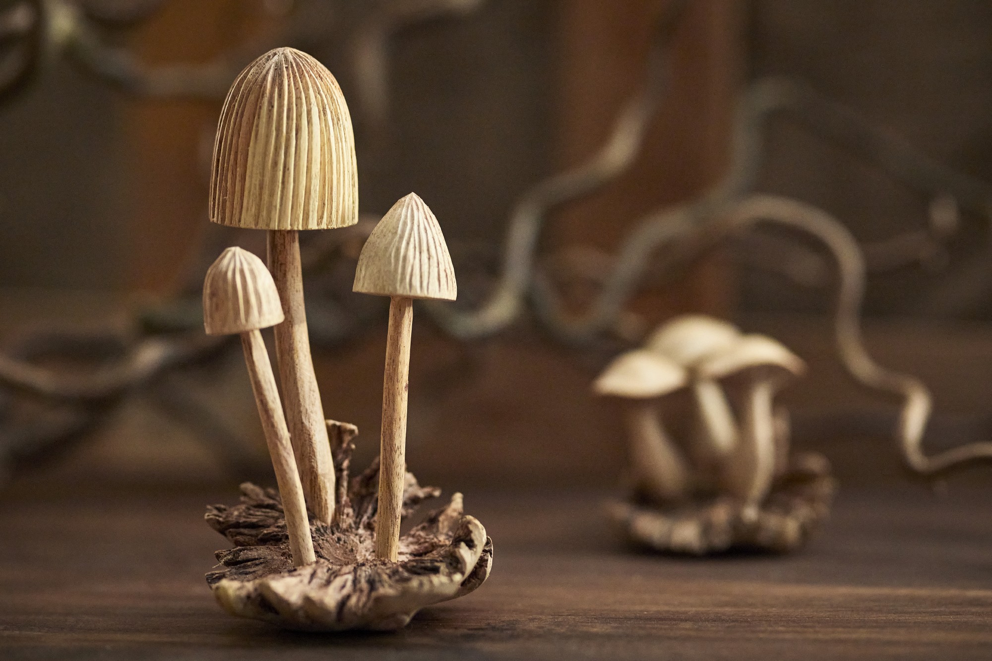 Figur 'Hutpilze' aus Holz, braun, Ø 9 cm, H 12 cm von fischer's lagerhaus