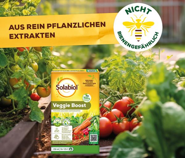 Solabiol® Veggie Boost, flüssig, 250 ml