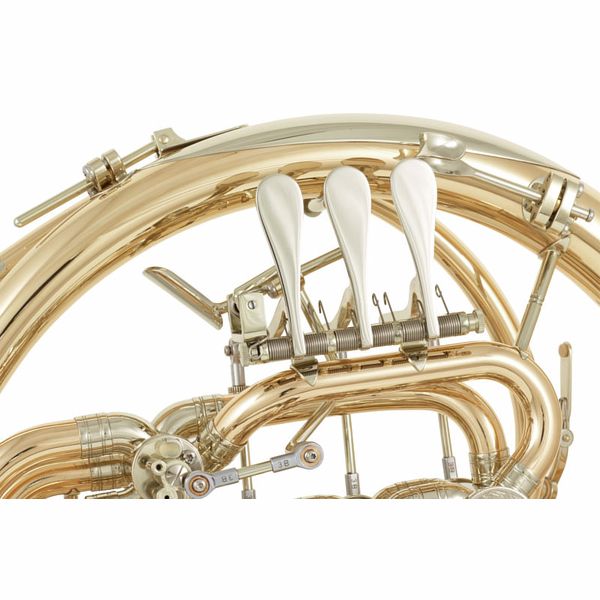 Hans Hoyer K10GA Double Horn