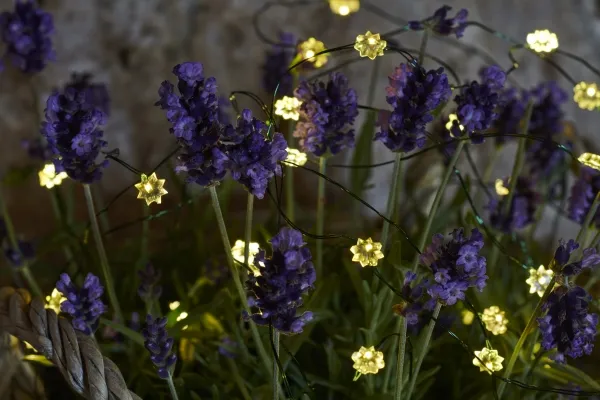 Sirius Silke Lyskæde Mini Blomster - 40 LED - Klar/Grøn