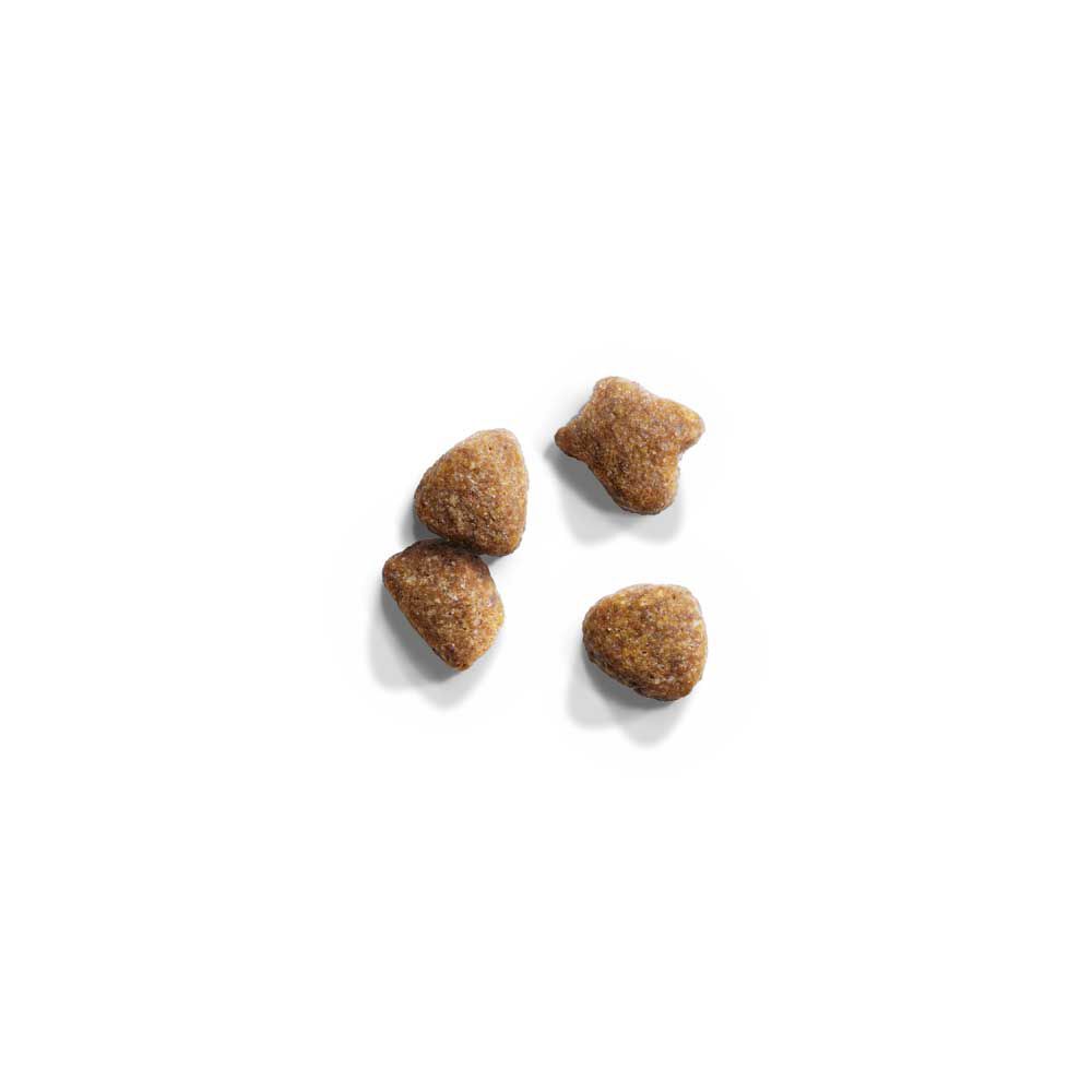 IAMS Adult Multi-Cat - Kattenvoer - 15 Kilogram - kalkoen, kip