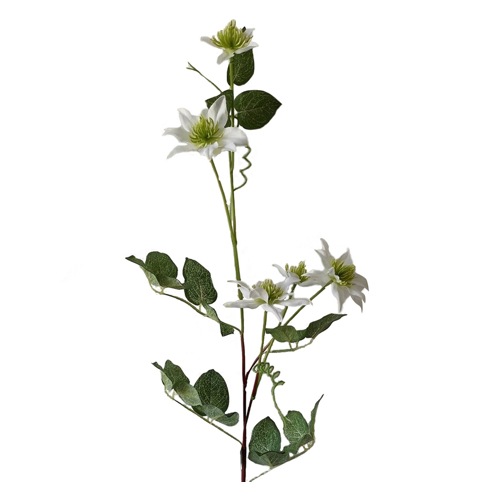 HTI-Living Frühlingsblume Weiß Kunstblume Flora