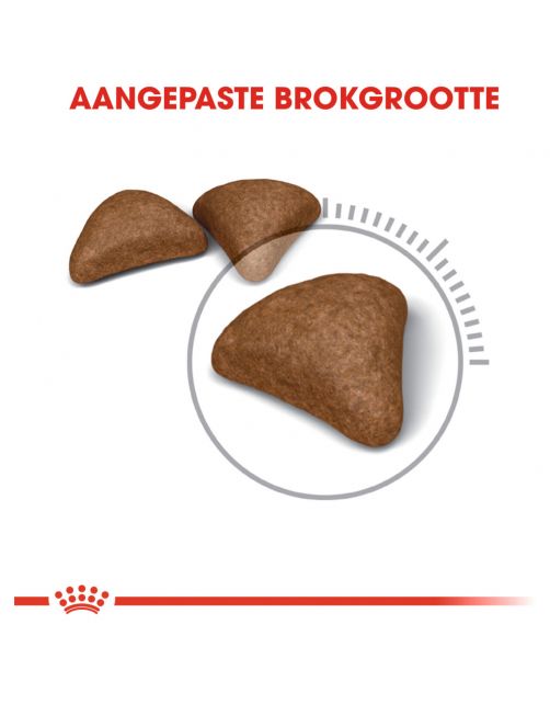 Royal Canin Hairball Care - Kattenvoer