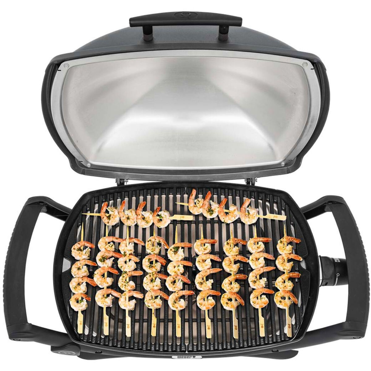 Q2400 elektrisk grill med stativ