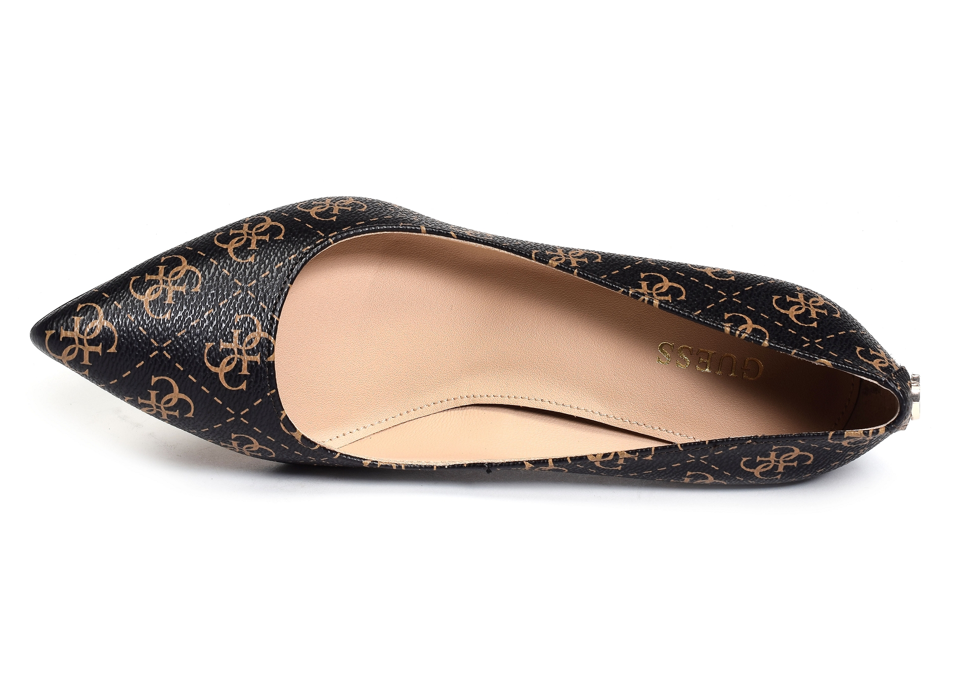 Dafne11 marron