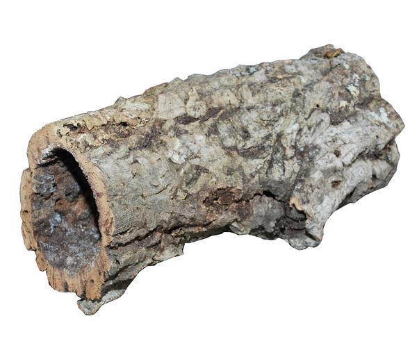 Dehner Terra Terrariendeko Korkröhre