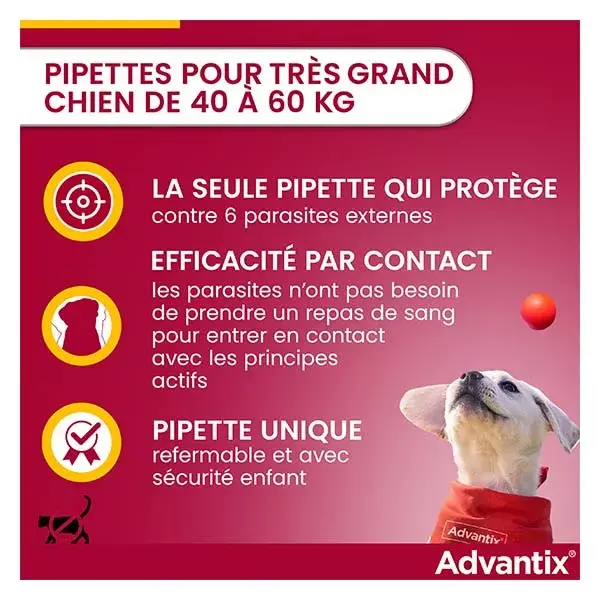 Solução Advantix para controle de pulgas e parasitas em cães de grande porte (40-60 kg) - 6 pipetas