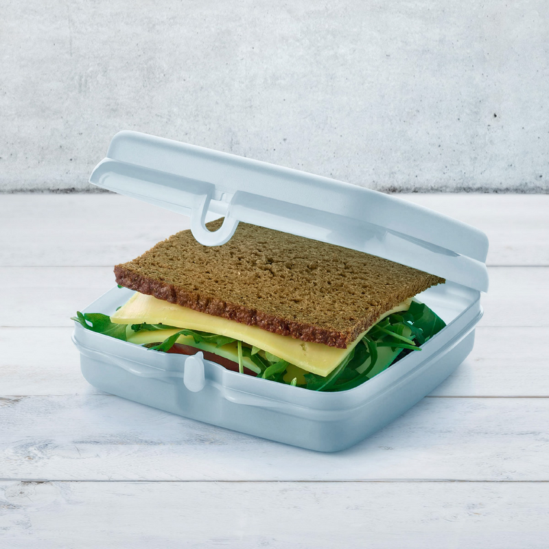 Eco+ Sandwichbox Die Brotbox für Kita, Kindergarten und Schule