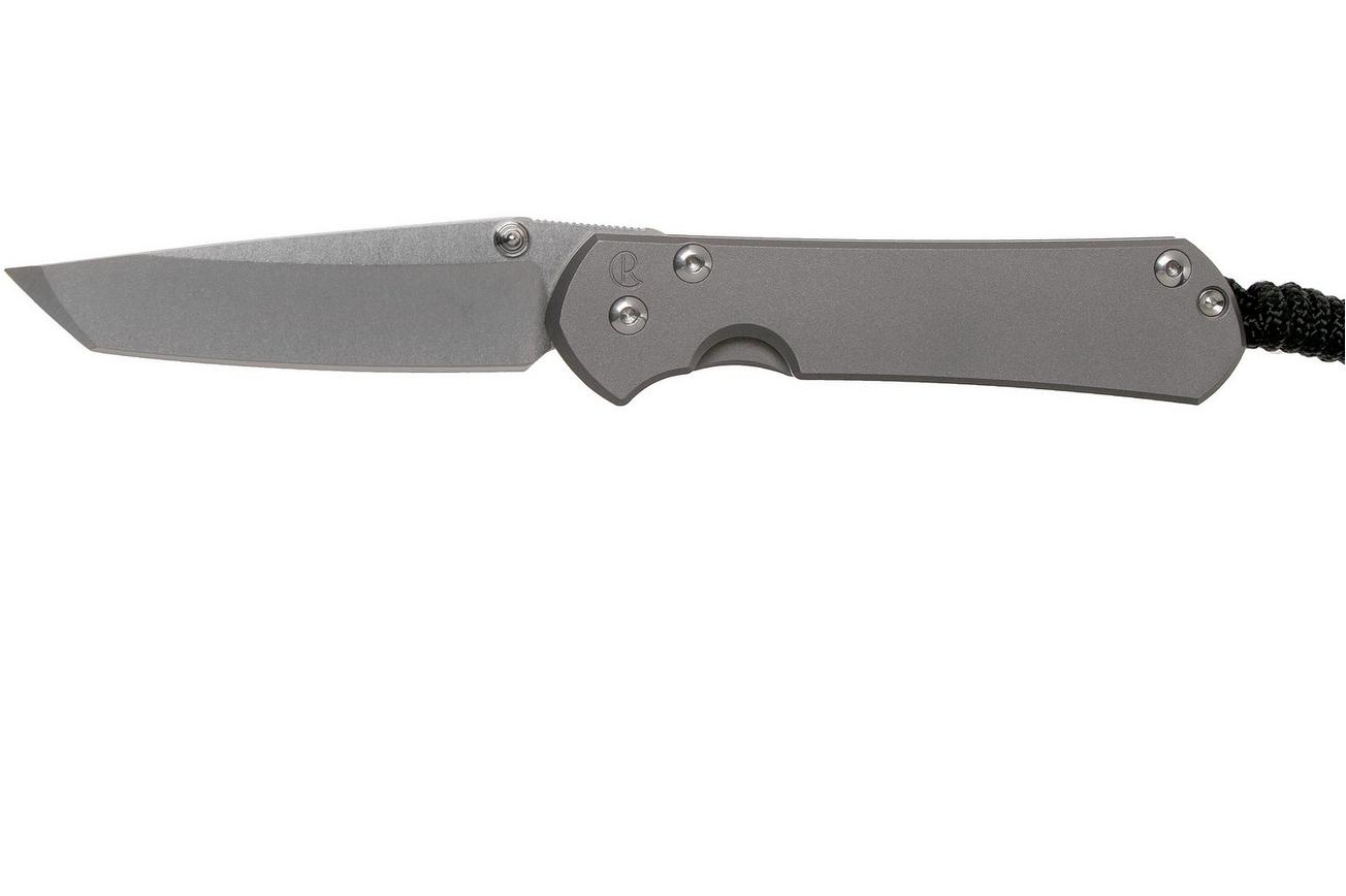 Chris Reeve Sebenza 31 Small Plain Glass Blasted Tanto S31-1687 zakmes