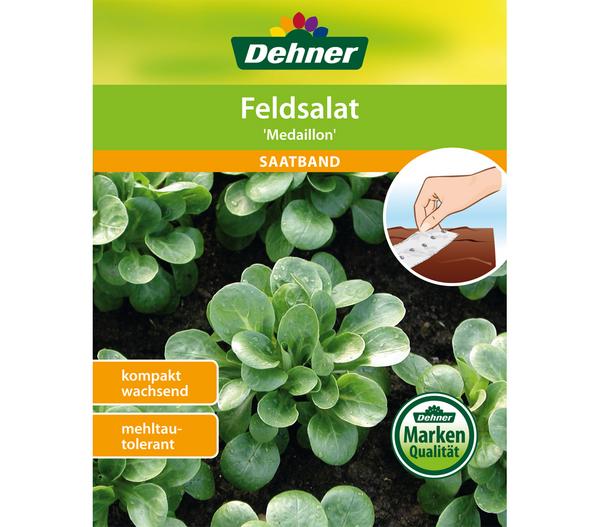 Dehner Samen-Set Easy Going