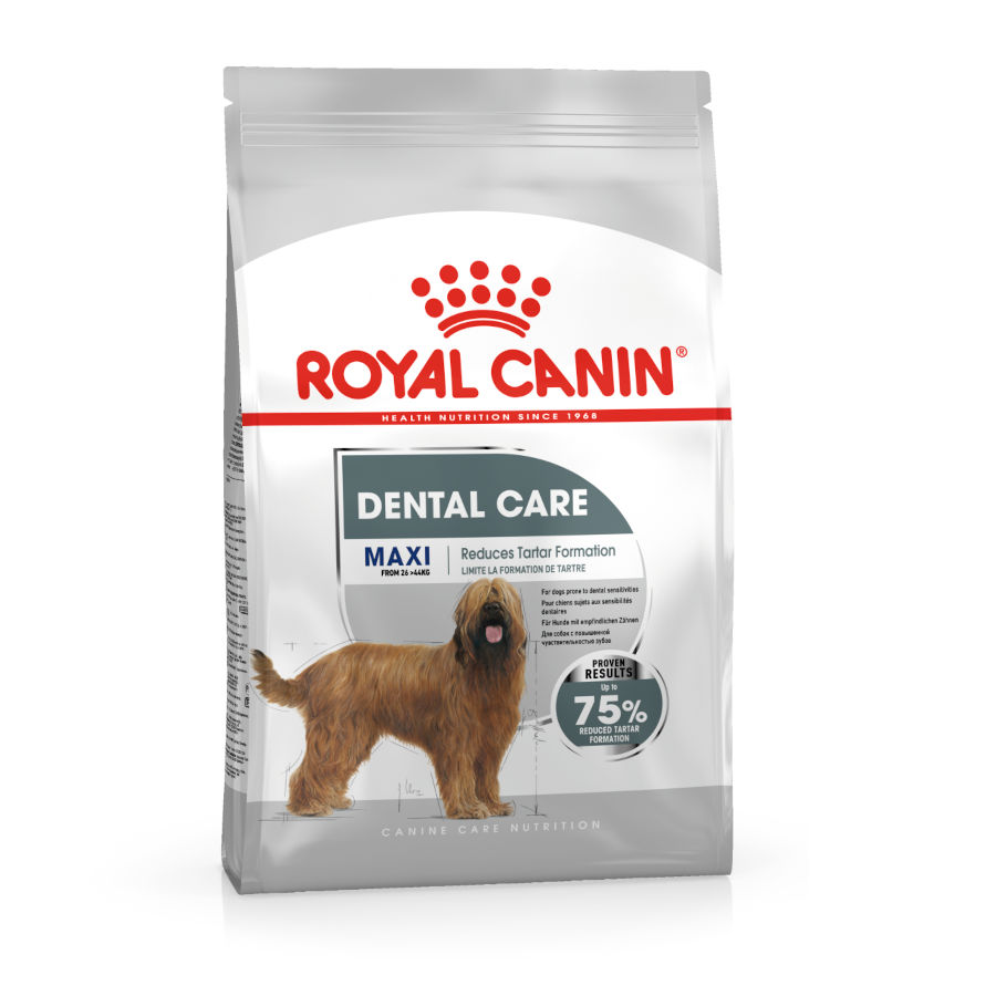 Ração Royal Canin Dental Care Maxi para cães
