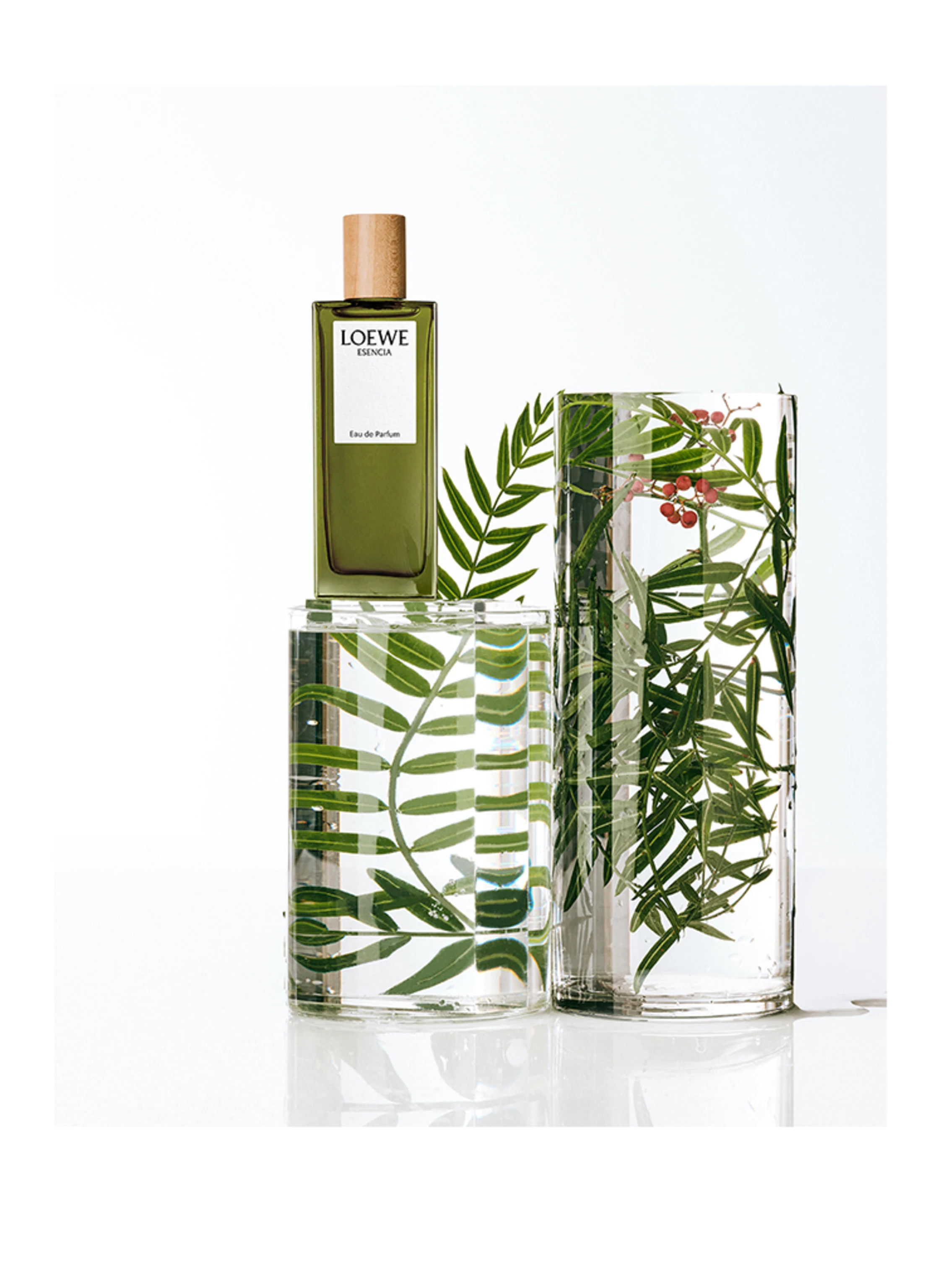 LOEWE ESENCIA