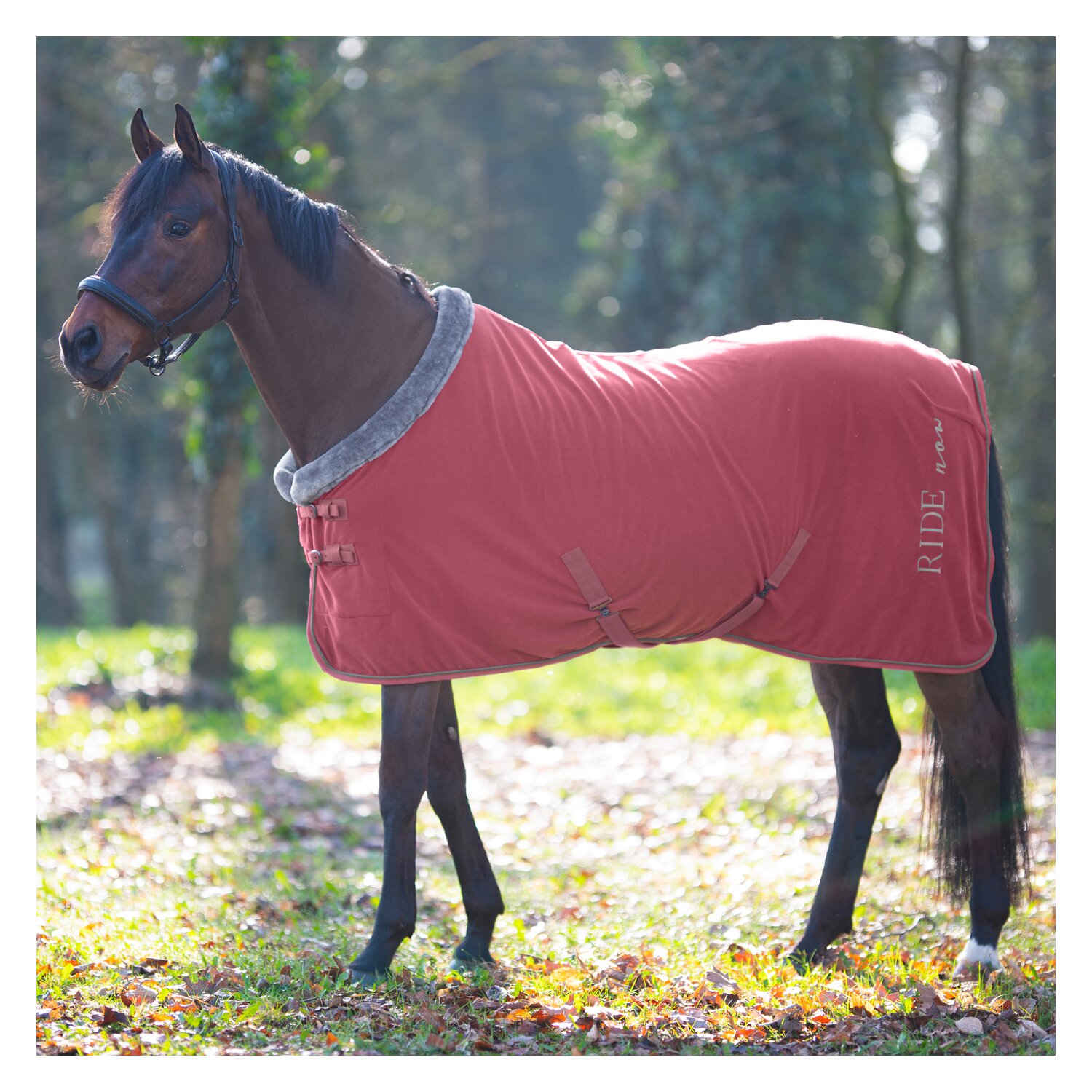 RIDE now Abschwitzdecke  - violet rose