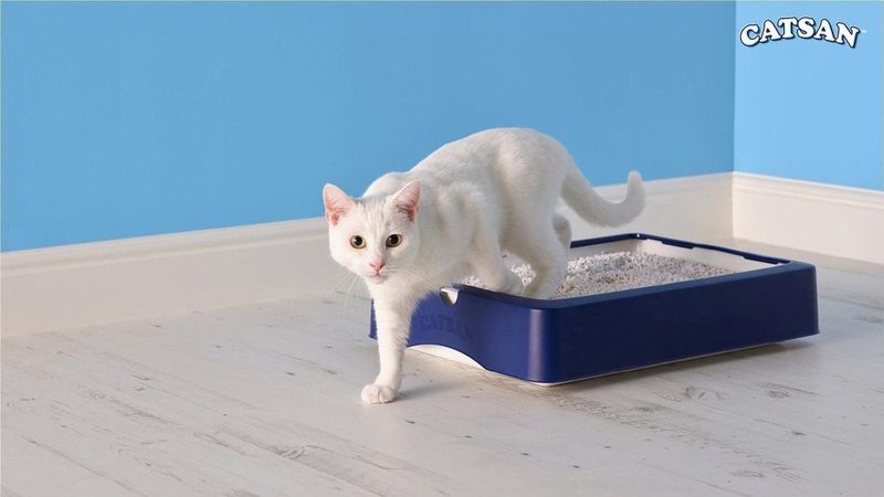 Catsan Kattenbakvulling - Hygiene Plus Geurabsorberend - 20 L