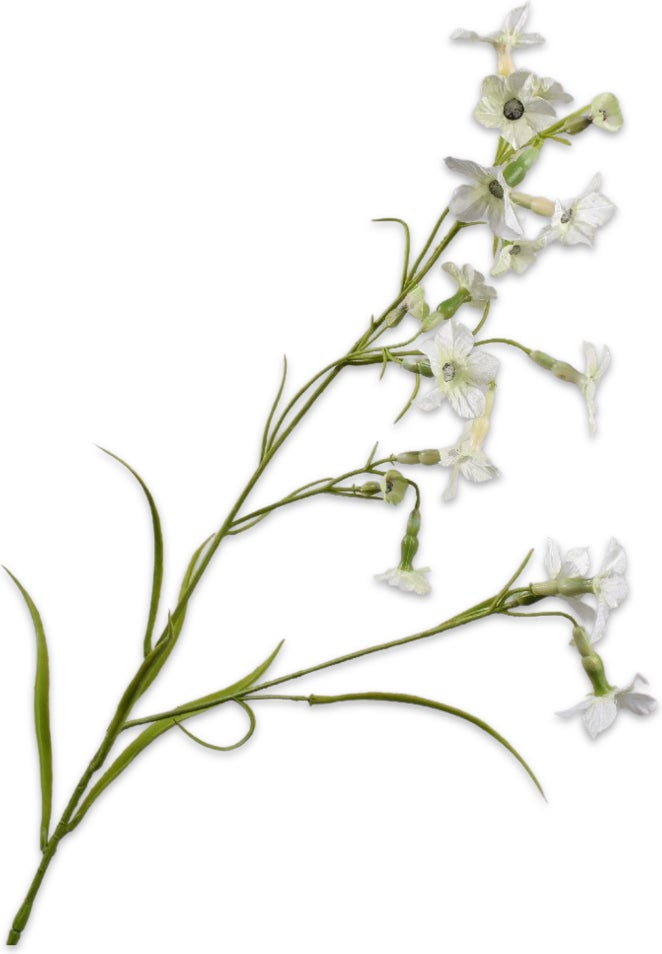 Silk-Ka kunstbloem Datura crème 78 cm