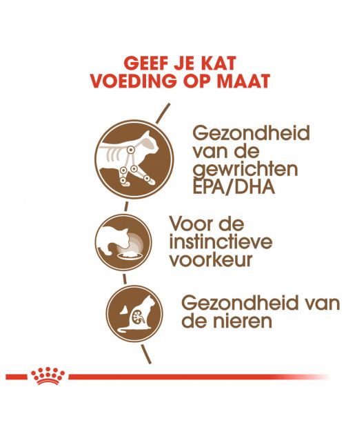 Royal Canin Ageing +12 In Jelly - Kattenvoer - 85 g
