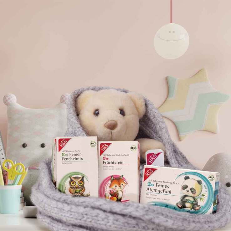 H&S Bio Baby- und Kindertee Früchtefein Filterbeutel, 20X2.5 g