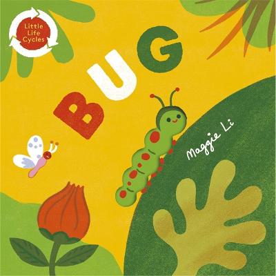 Little Life Cycles: Bug - little life cycles (Board book)