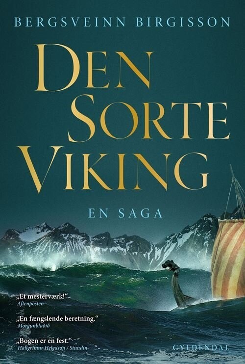 Den Sorte Viking - Bergsveinn Birgisson - Bog