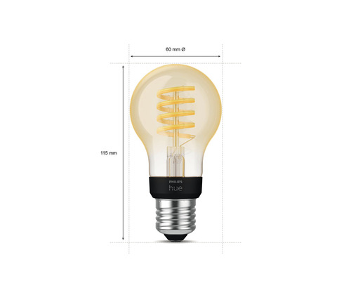 Philips Hue White Ambiance Dimbare Gouden Filamentlamp A60 E27/7W (40W) 550 lm 2200K-6500K - Compatibel met SMART HOME van Hornbach
