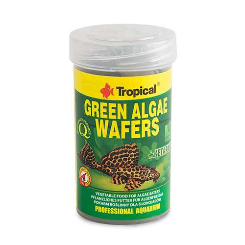 Comprimidos de algas verdes tropicais para peixes de fundo.