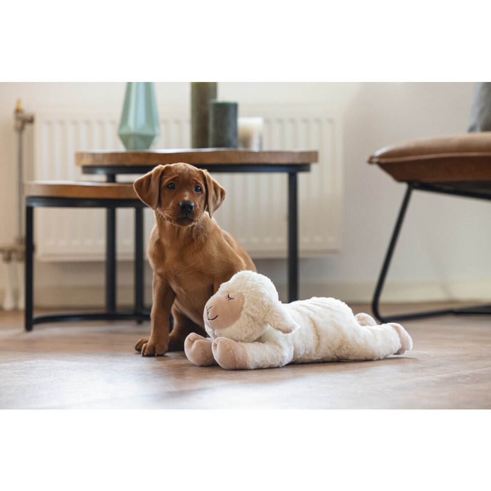 Beeztees Puppy Knuffel HeartbeatBowi 42 cm