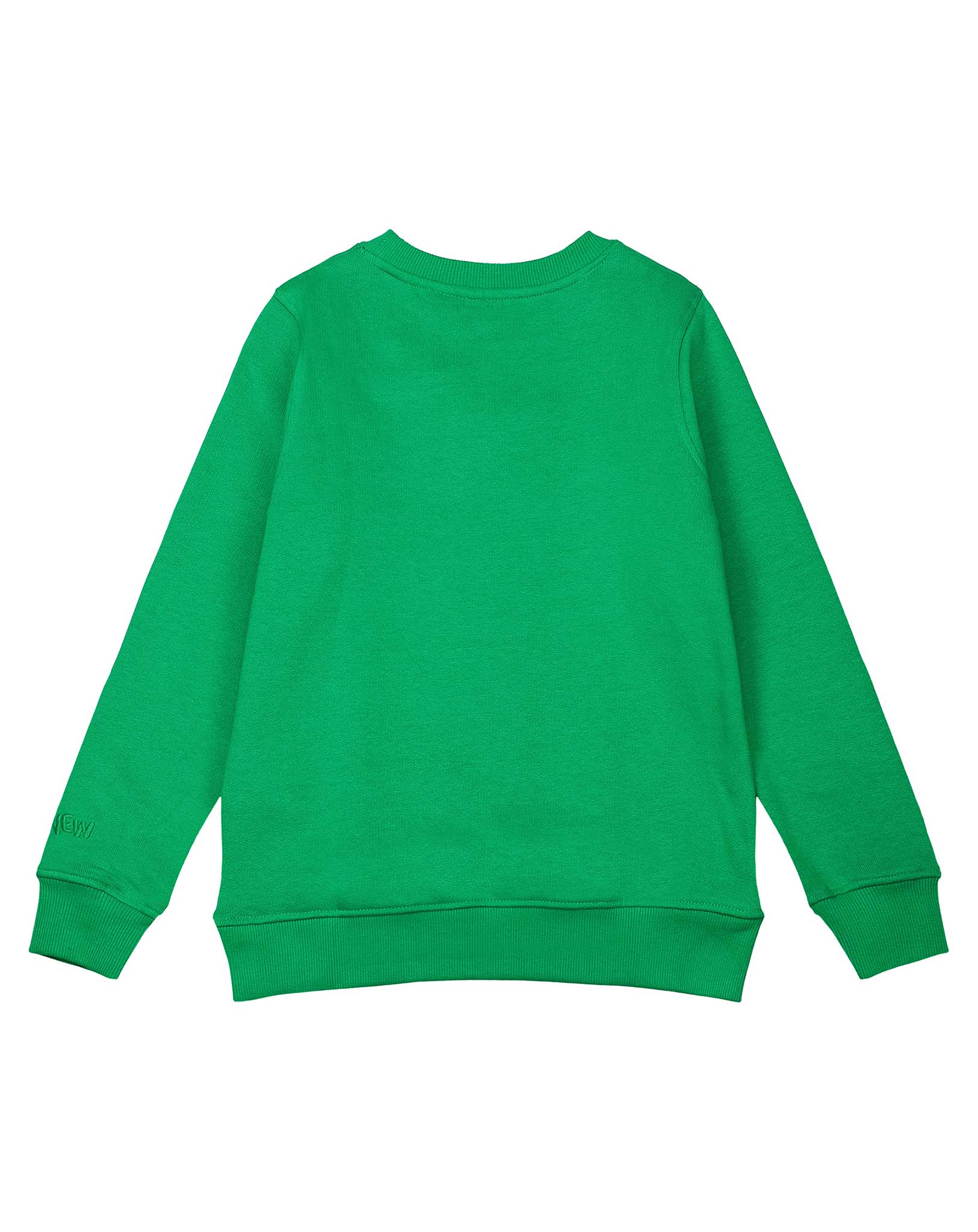 Sweatshirt JOSLINE in bright green