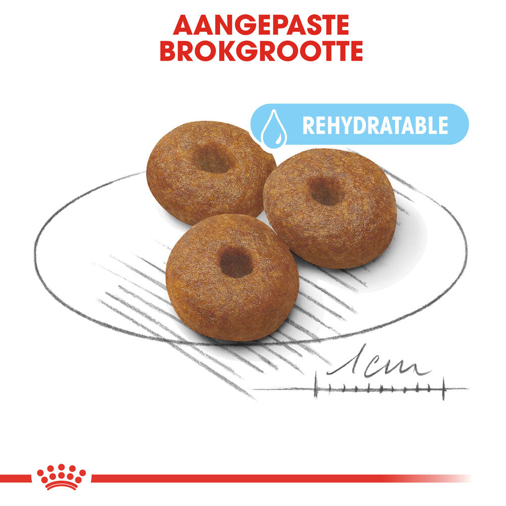 Royal Canin SHN Maxi Starter Mother & Babydog -  Hondenvoer - 4 Kilogram - gevogelte