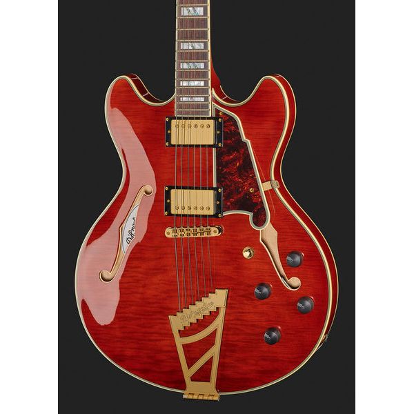 Dangelico Excel DC Viola