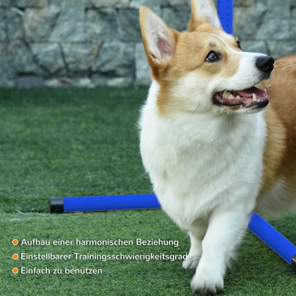 Agility Hekksett Slalåmbarer Hundetreningssett 4 X Hekk, Plast, Blå, 99X65X94Cm