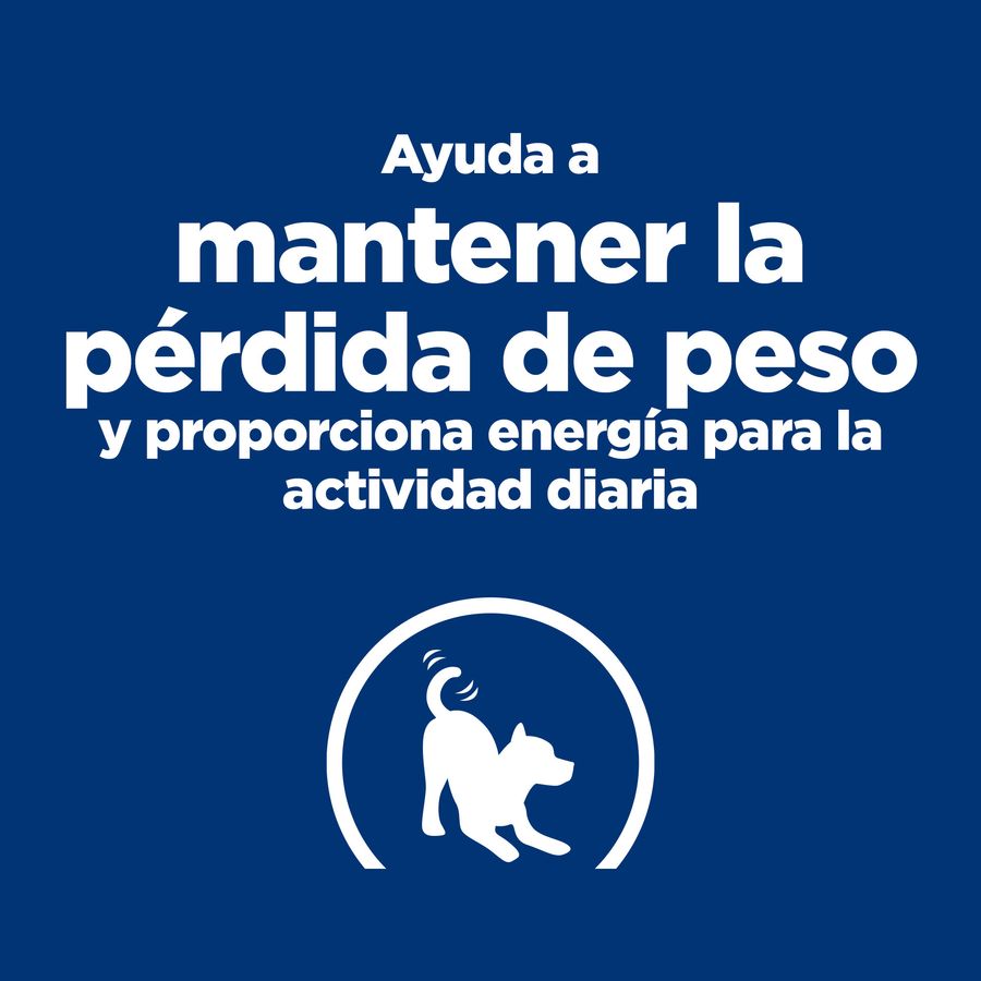 Hill's Prescription Diet Metabolic + Mobility Mini j/d pienso para perros