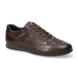 leon  RANDY 6158/ 6100  DARK BROWN