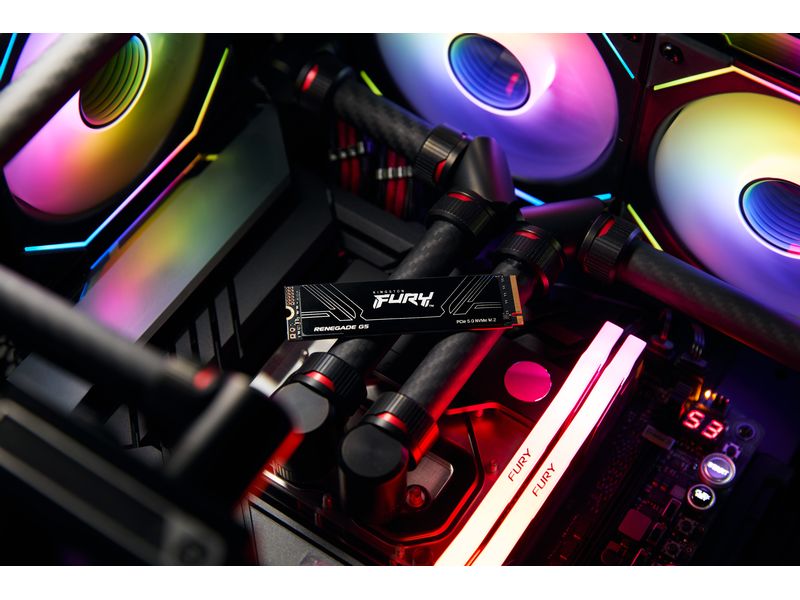 Kingston SSD FURY Renegade M.2 2280, NVMe M.2 NVMe 1024 GB Interne Gaming Solid-State-Drive mit Heatsink und 1024 GB