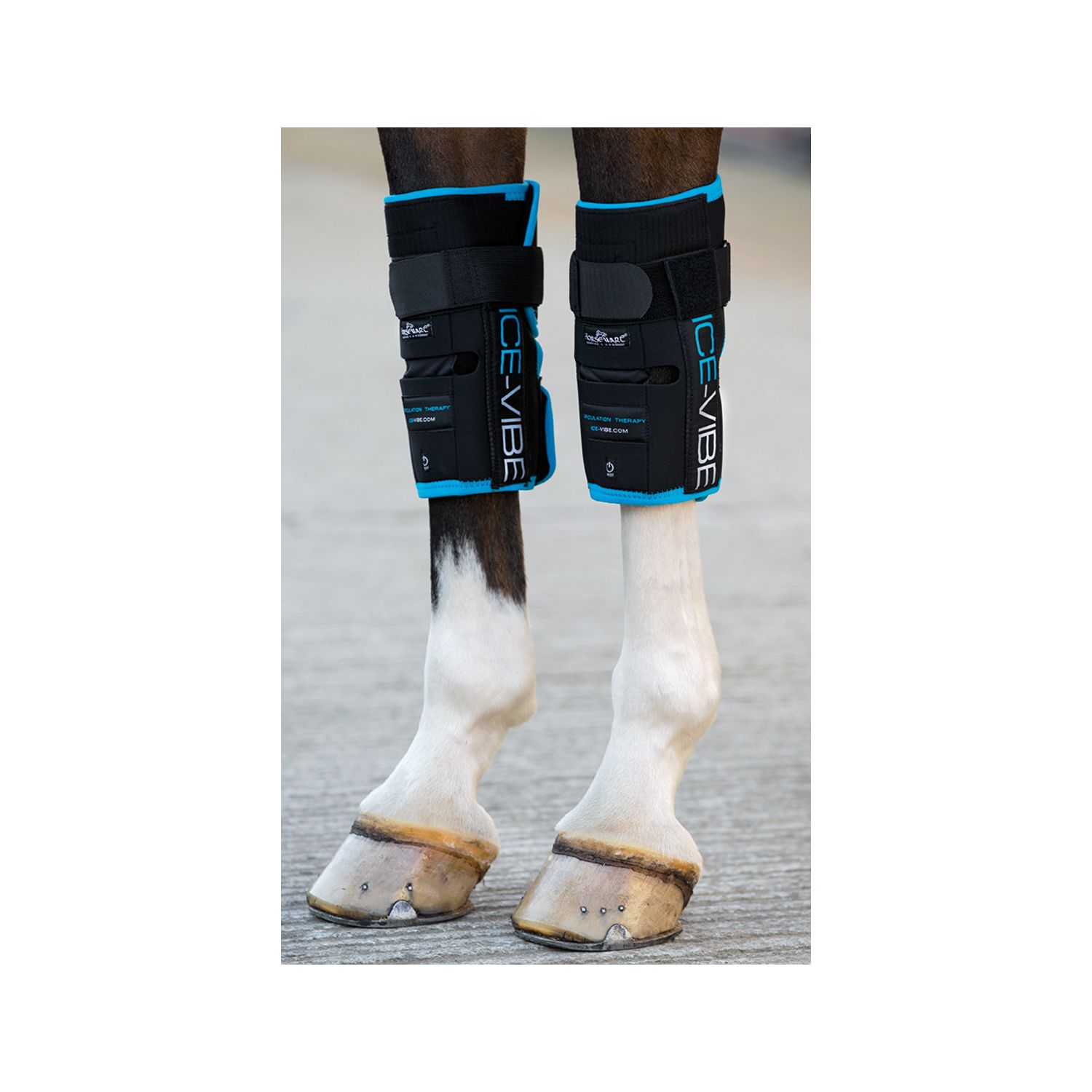 Horseware Ice-Vibe Vorderfußwurzelgelenk-Gamaschen  - schwarz - WB