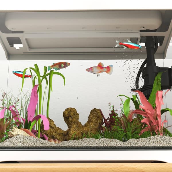 Akvarium med LED-belysning, filtersystem, 17L fisketank, tropisk fiskeakvarium med vannpumpe hvit