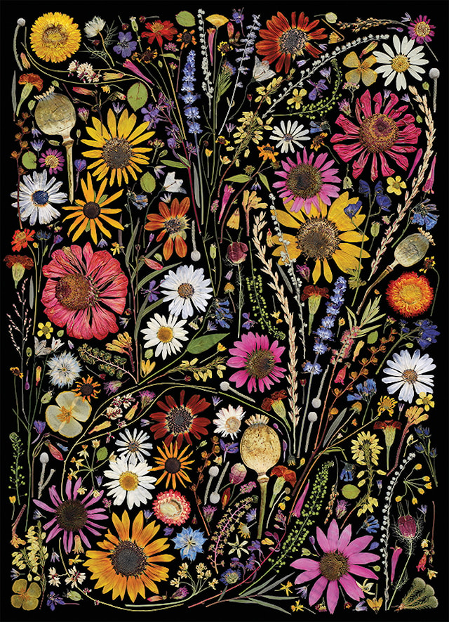 Puslespill Flower Press: Happiness 1000 brikker, Cobble Hill