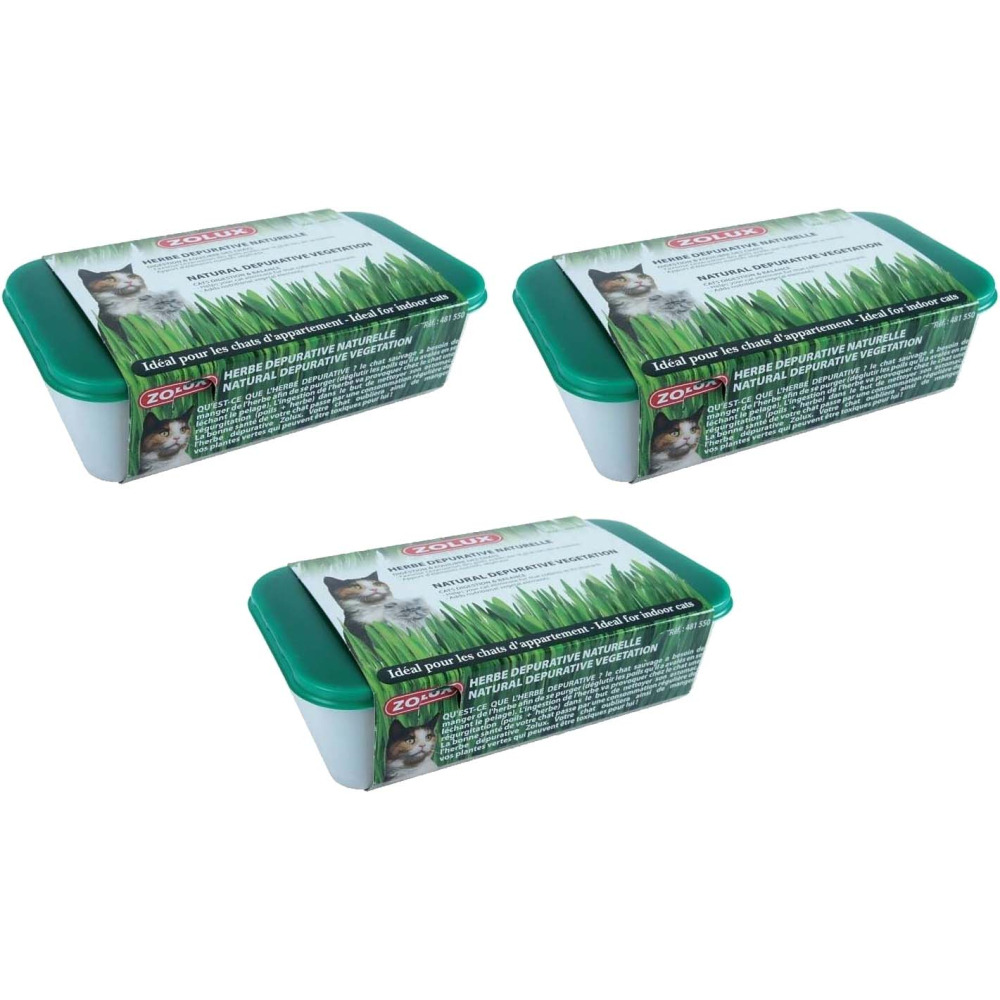 Herbe à chat dépurative naturelle (lot de 3)