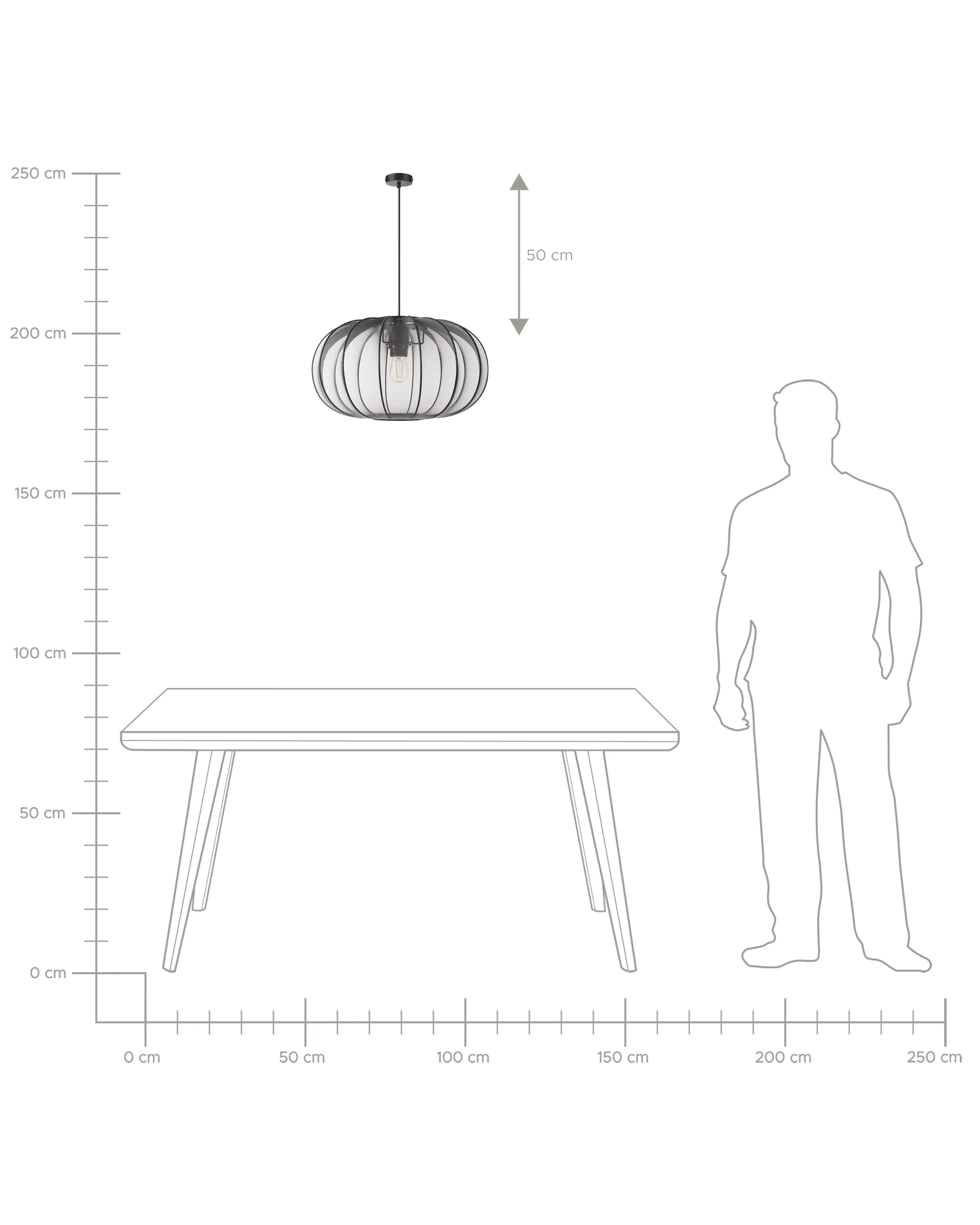 Hanglamp TOCUYO Zwart
