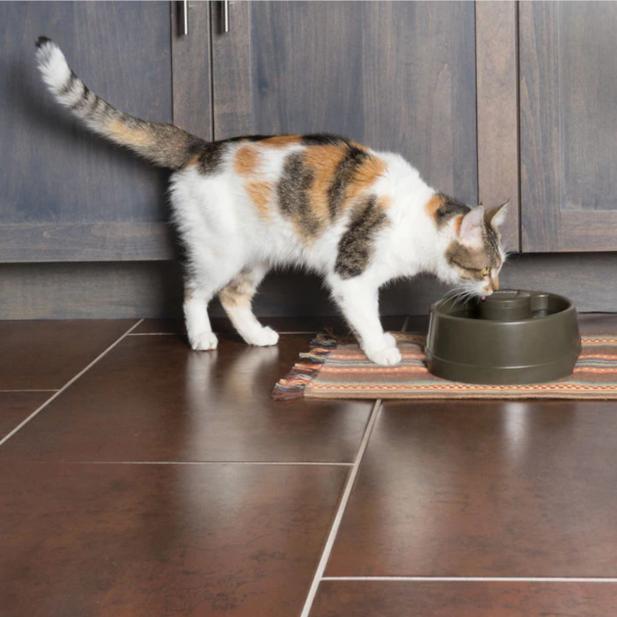 Dispensador automático de água Petsafe Drinkwell para cães e gatos