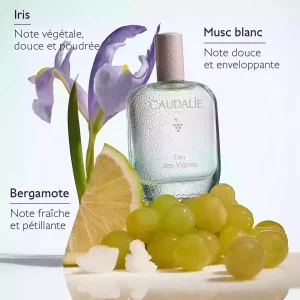 Eau Fraîche Eau des Vignes - 50ml