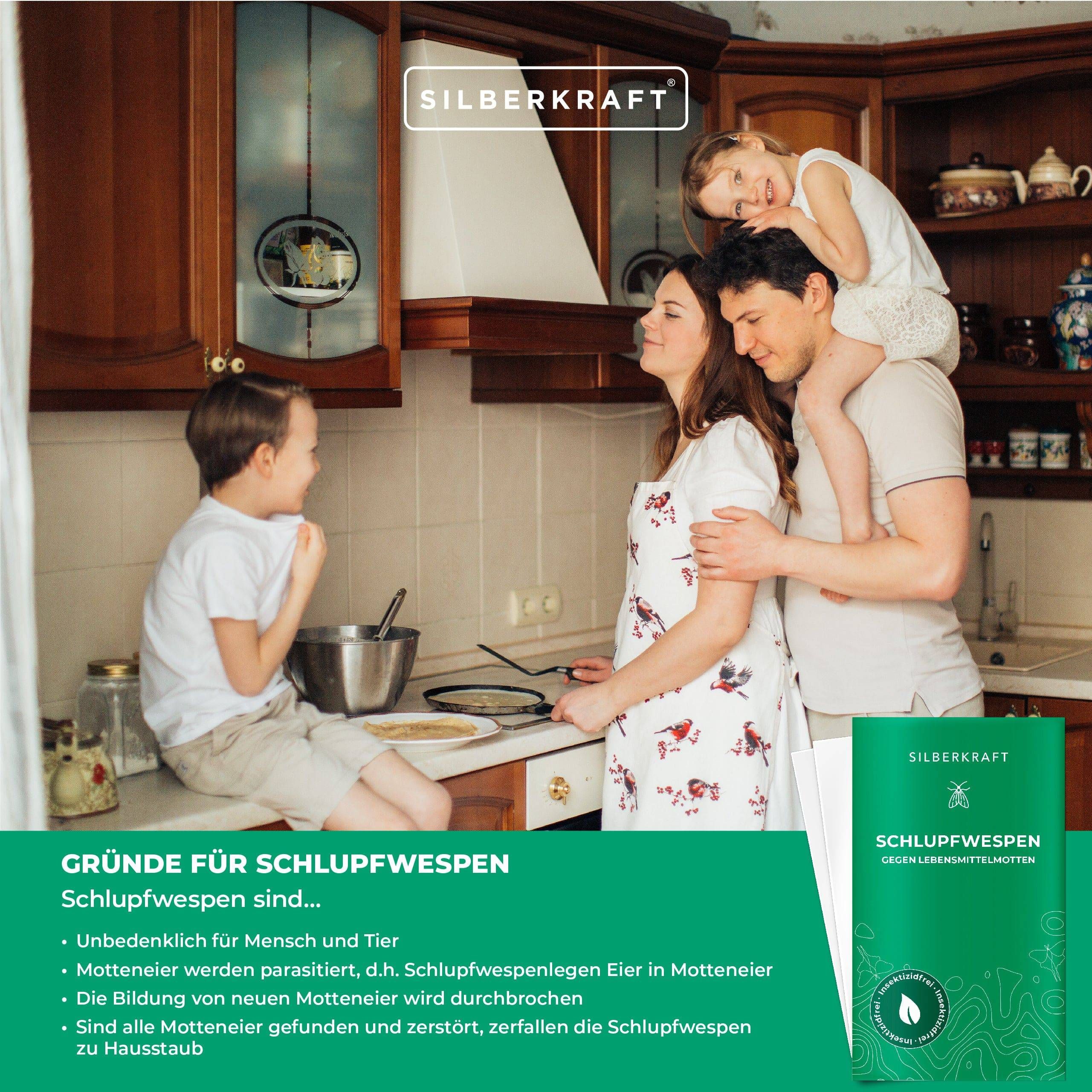 SILBERKRAFT Schlupfwespen