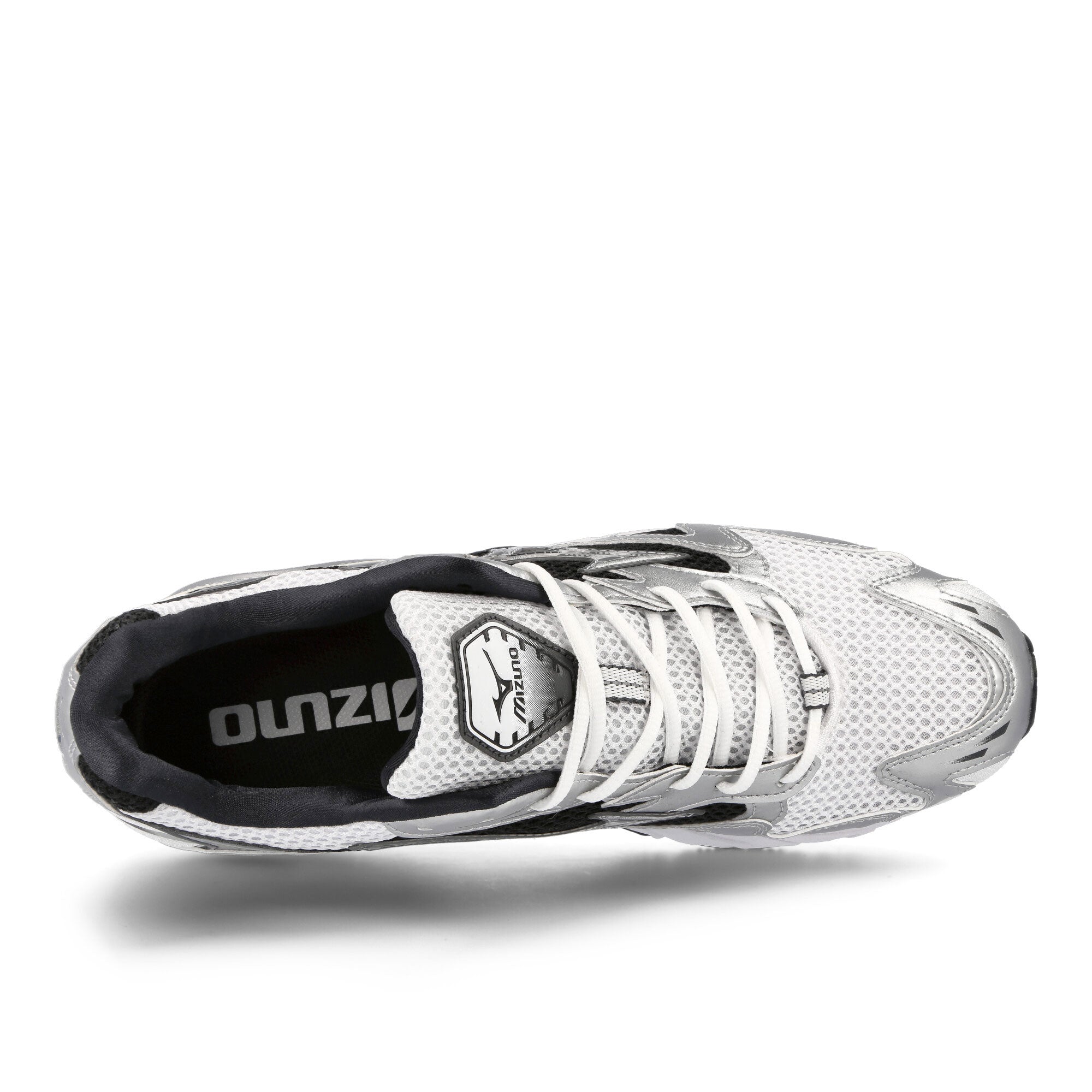 Mizuno<br>Wave Rider 10