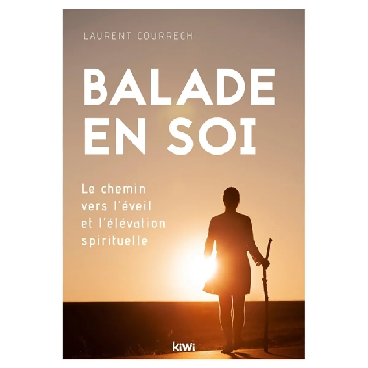 Balade en soi : le chemin vers l'éveil et l'élévation spirituelle · Occasion