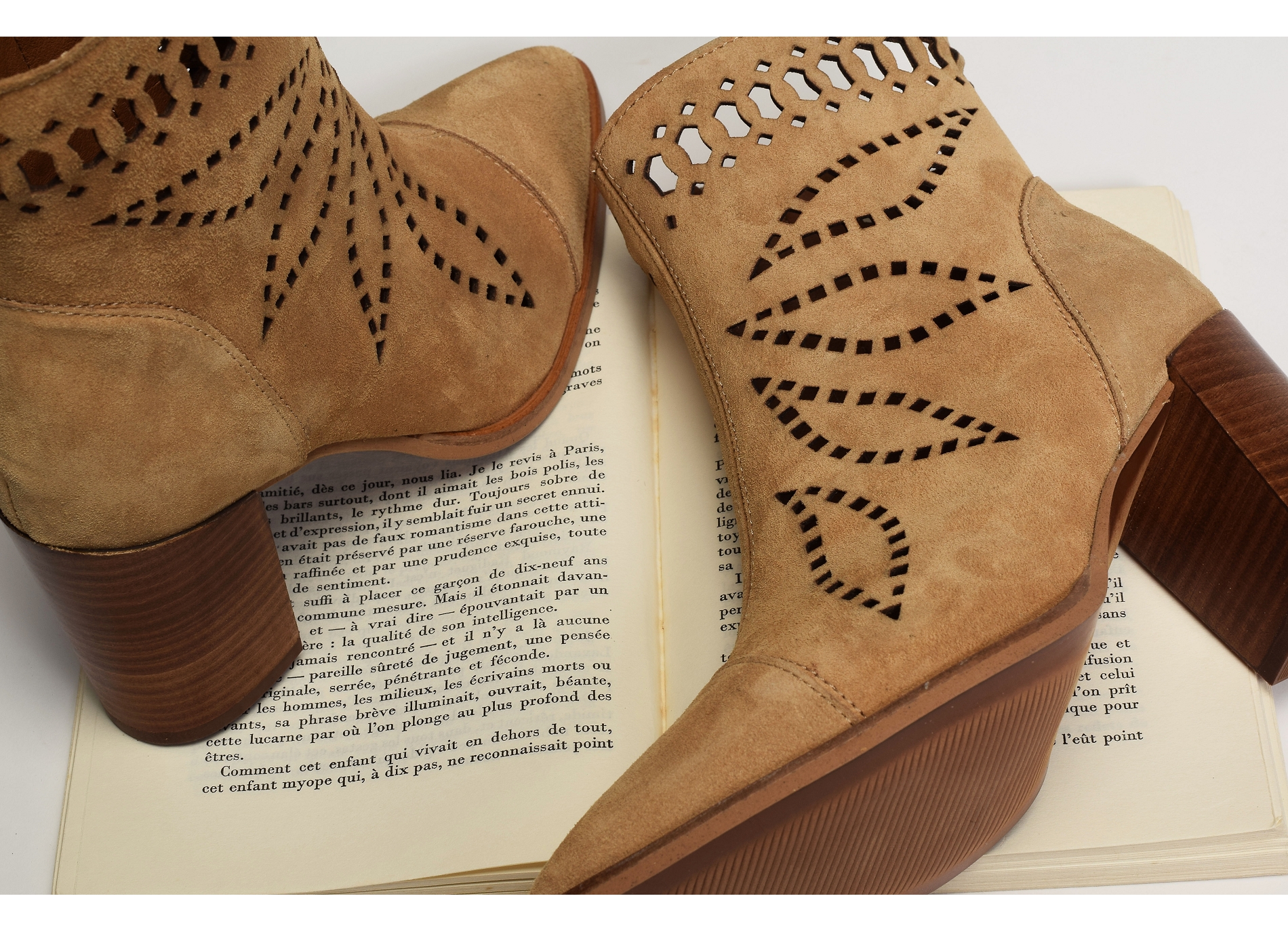 Senses 5031 camel