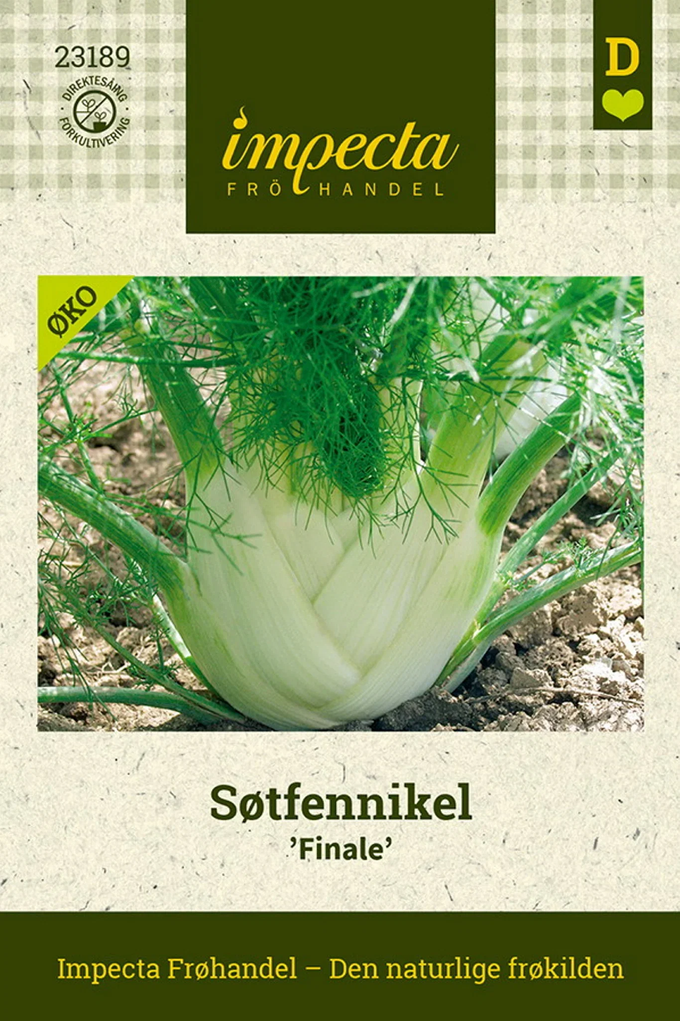 Foeniculum vulgare 'Finale' Søtfennikel 'Finale'