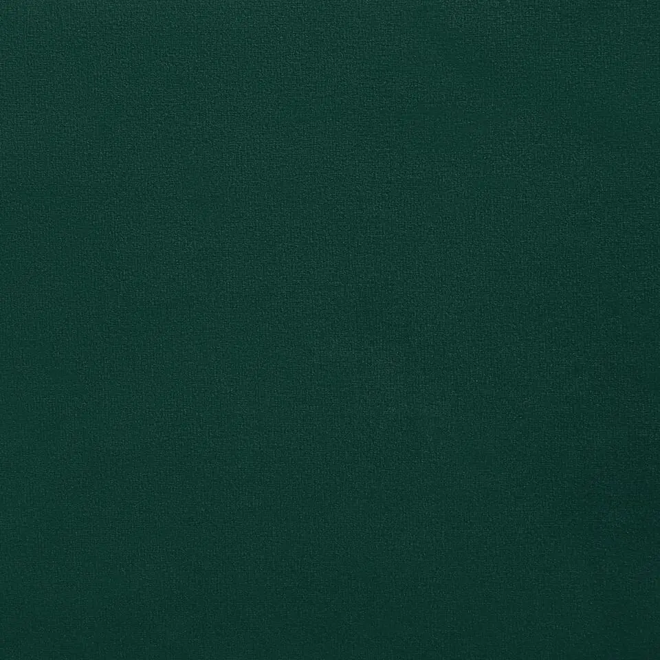 SIRKKA - Fauteuil - Groen - Fluweel