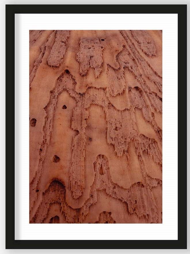 Art Print Layered Pink Brains