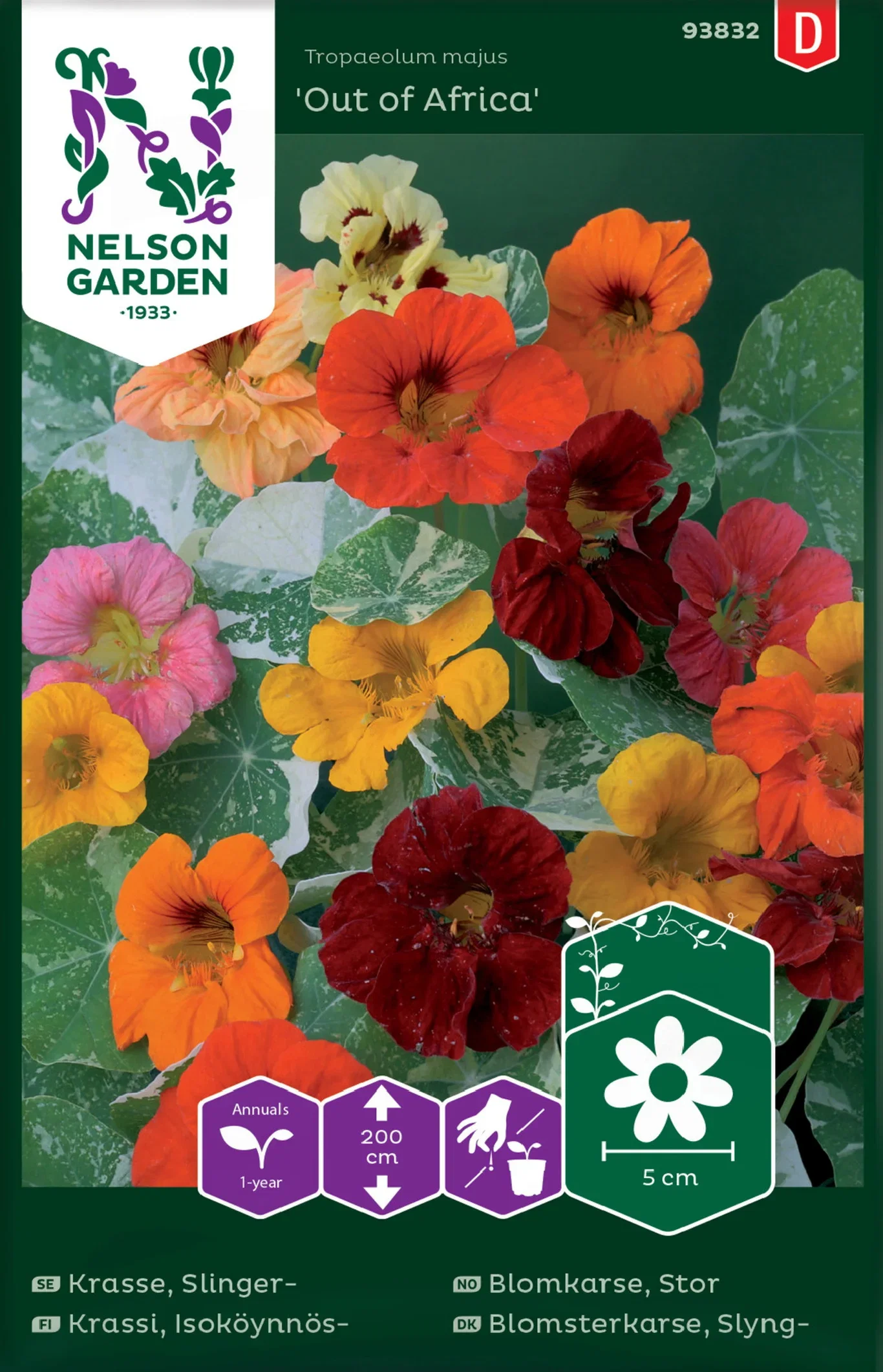 Tropaeolum majus  'Out of Africa' Stor Blomkarse 'Out of Africa'