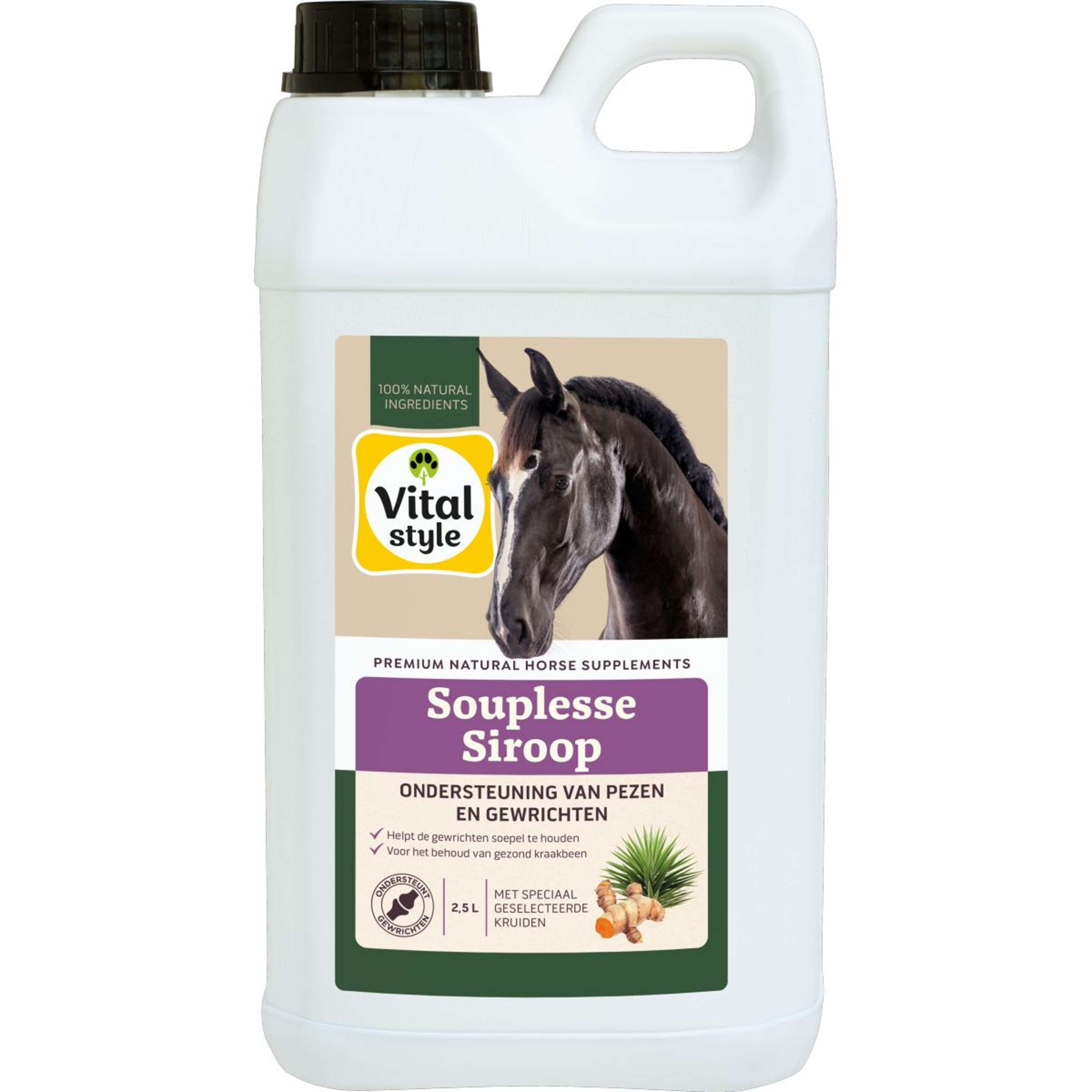 Vitalstyle SouplesseSiroop
